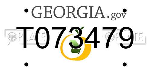 T073479 Georgia License Plate