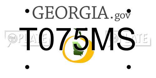 T075MS Georgia License Plate