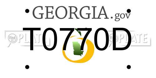 T0770D Georgia License Plate