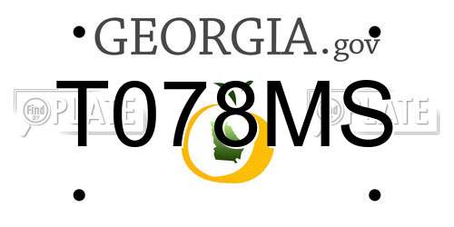 T078MS Georgia License Plate