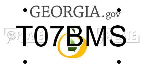 T07BMS Georgia License Plate