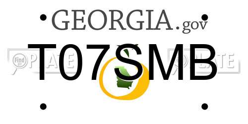 T07SMB Georgia License Plate