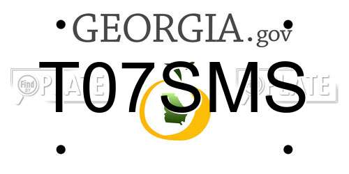 T07SMS Georgia License Plate