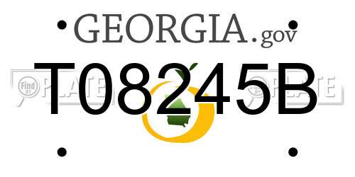 T08245B Georgia License Plate