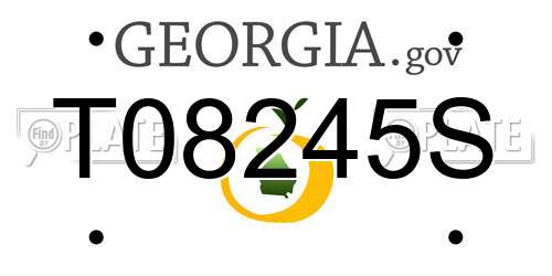 T08245S Georgia License Plate