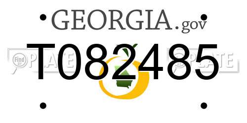 T082485 Georgia License Plate
