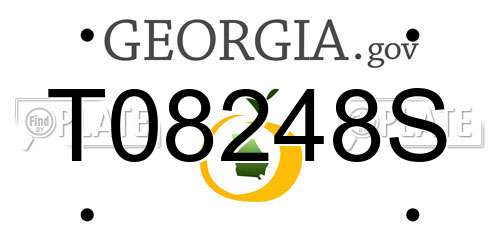 T08248S Georgia License Plate