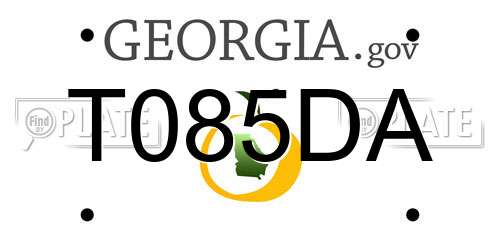 T085DA Georgia License Plate