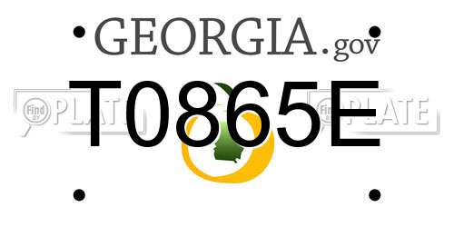 T0865E Georgia License Plate