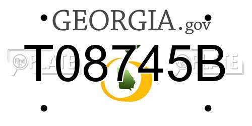 T08745B Georgia License Plate