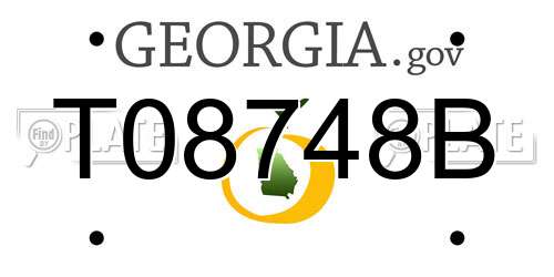 T08748B Georgia License Plate