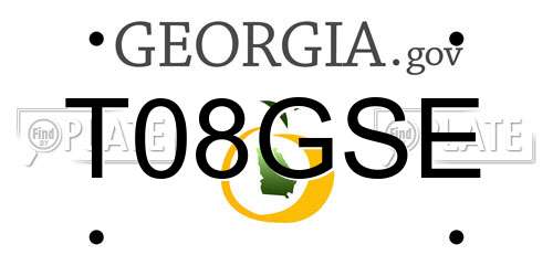 T08GSE Georgia License Plate