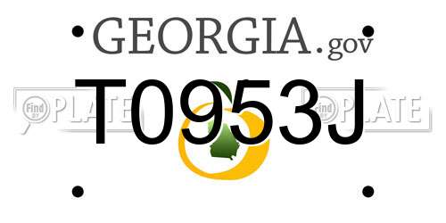 T0953J Georgia License Plate