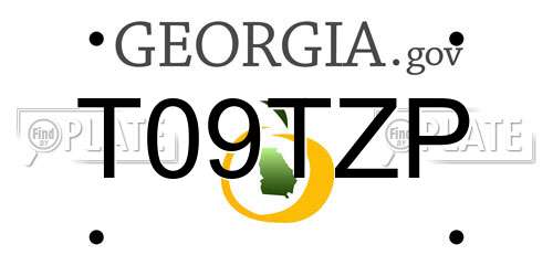 T09TZP Georgia License Plate