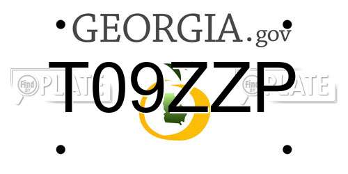 T09ZZP Georgia License Plate
