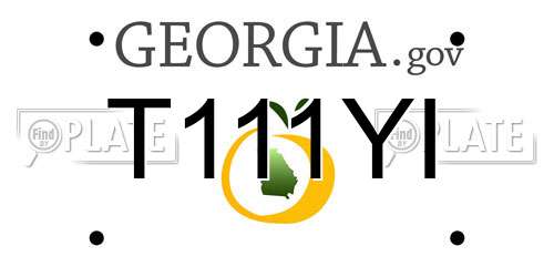 T111YI Georgia License Plate