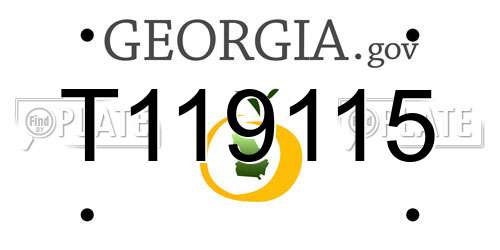 T119115 Georgia License Plate