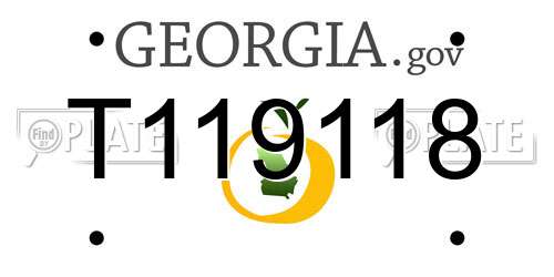 T119118 Georgia License Plate