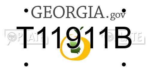 T11911B Georgia License Plate