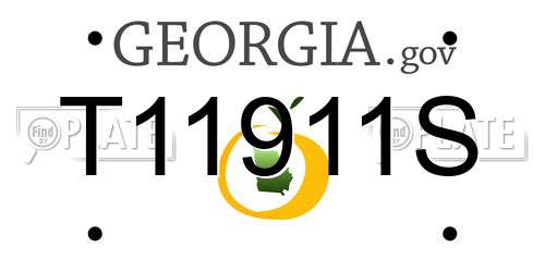 T11911S Georgia License Plate
