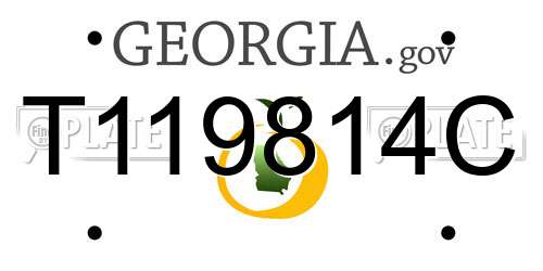 T119814C Georgia License Plate