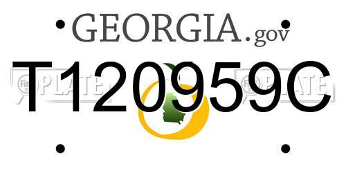 T120959C Georgia License Plate