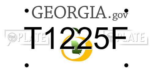 T1225F Georgia License Plate