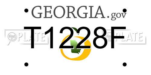 T1228F Georgia License Plate