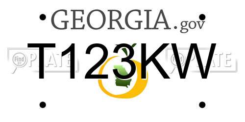 T123KW Georgia License Plate