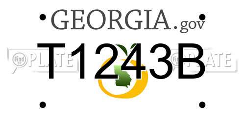 T1243B Georgia License Plate