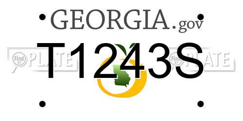 T1243S Georgia License Plate