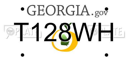 T128WH Georgia License Plate