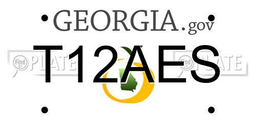 T12AES Georgia License Plate