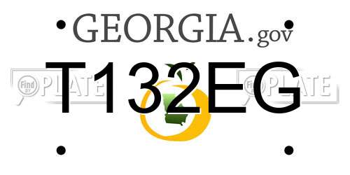 T132EG Georgia License Plate