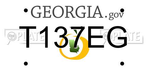 T137EG Georgia License Plate