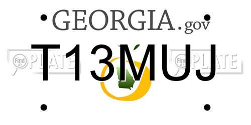 T13MUJ Georgia License Plate