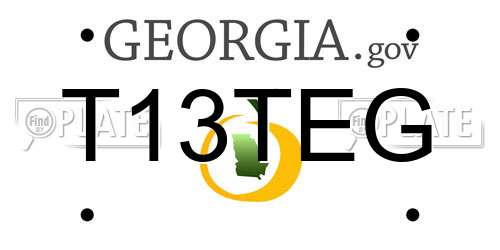 T13TEG Georgia License Plate