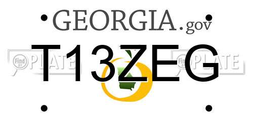 T13ZEG Georgia License Plate