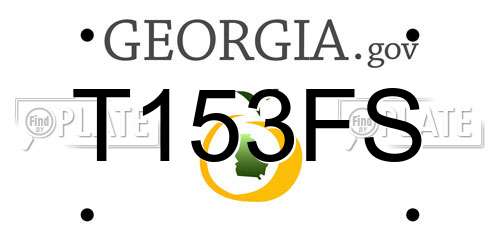 T153FS Georgia License Plate