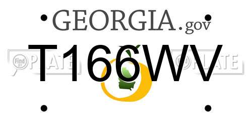 T166WV Georgia License Plate