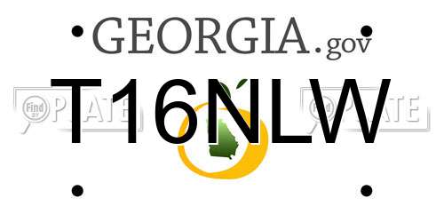 T16NLW Georgia License Plate