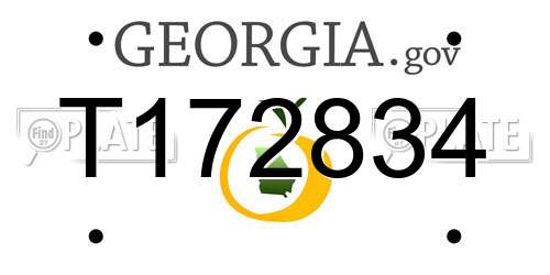 T172834 Georgia License Plate