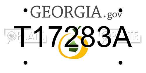 T17283A Georgia License Plate