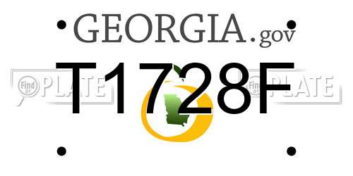 T1728F Georgia License Plate
