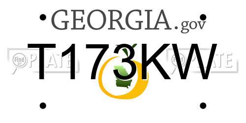 T173KW Georgia License Plate