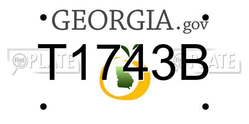 T1743B Georgia License Plate
