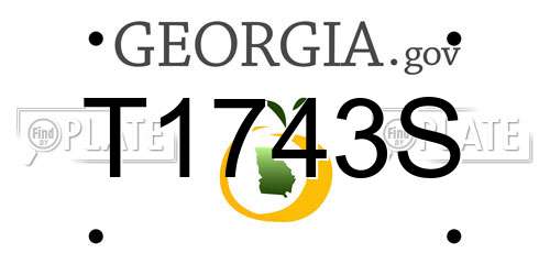 T1743S Georgia License Plate