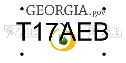 T17AEB Georgia License Plate