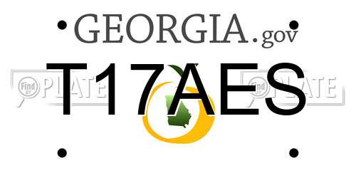 T17AES Georgia License Plate