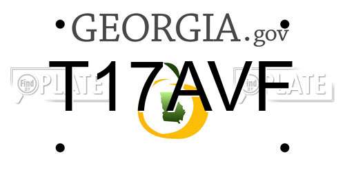 T17AVF Georgia License Plate
